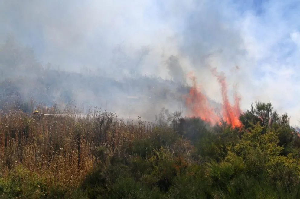 Proponen declarar a Bariloche como ciudad como una interfaz urbano-forestal.