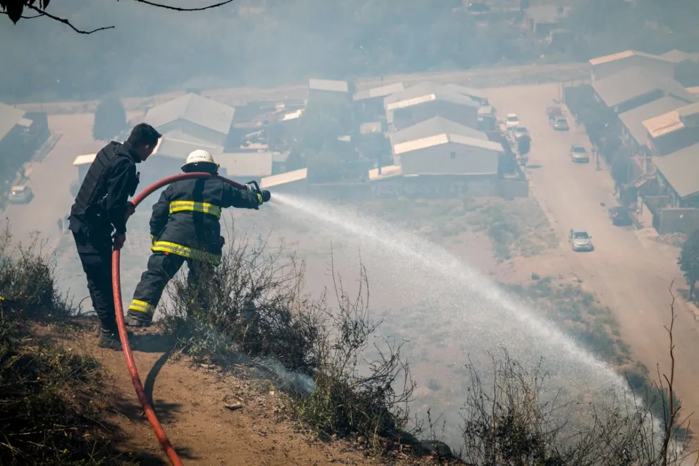Desde la junta del Lera piden acciones inmediatas para evitar los incendios 