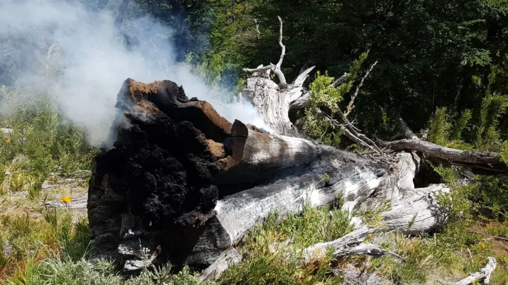 Susto en Catedral por principio de incendio forestal