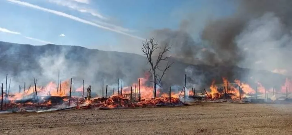 Dantesco incendio redujo a cenizas un histórico aserradero 