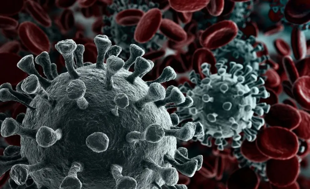 Barcelona: descubren estrategias naturales para combatir el coronavirus