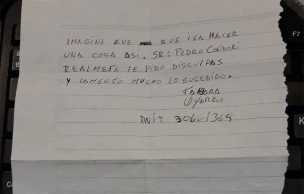 La mujer que apuñaló a un colectivero pidió disculpas con una carta 