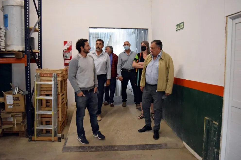 Frutas y verduras para módulos escolares y alimentarios