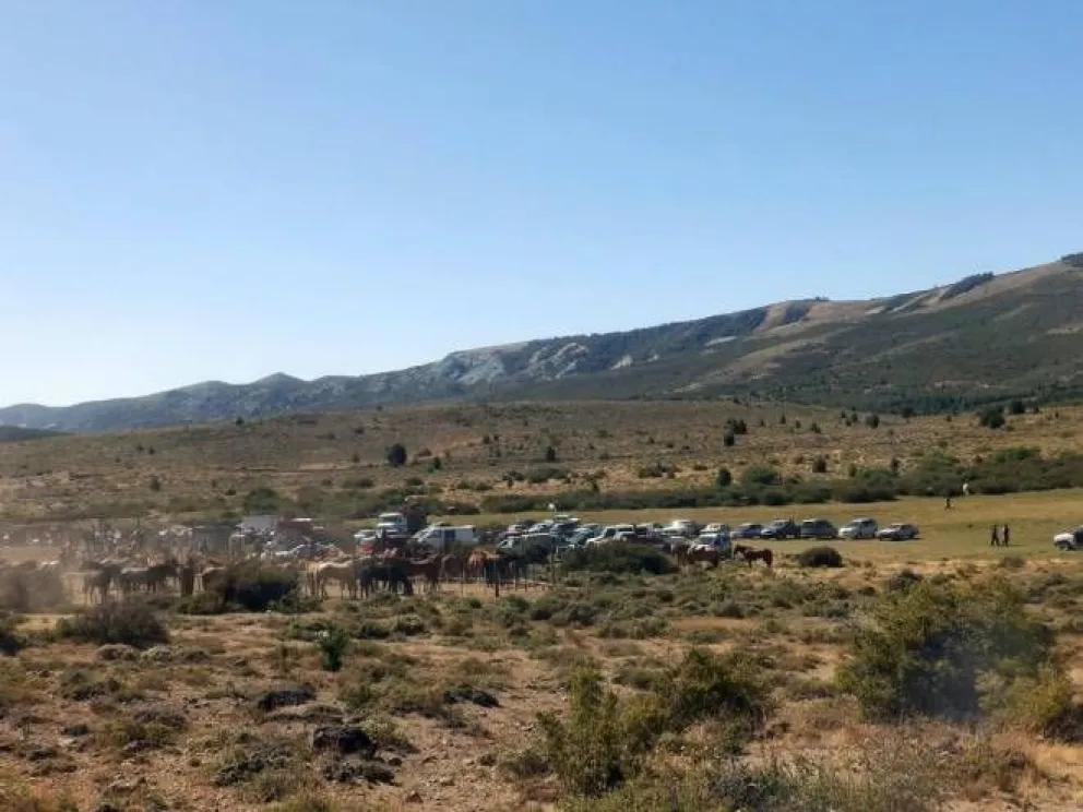 Este jueves imputarán a dos hombres por la agresión tras una carrera de caballos