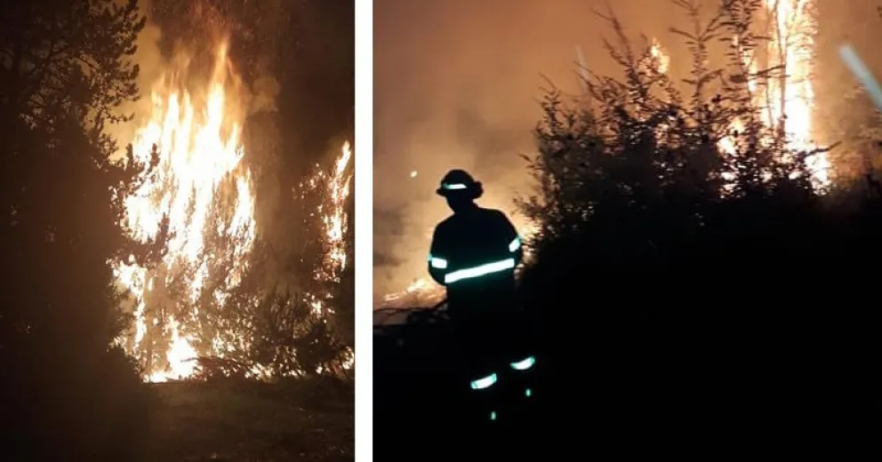 Susto en el 400 Viviendas por un incendio forestal