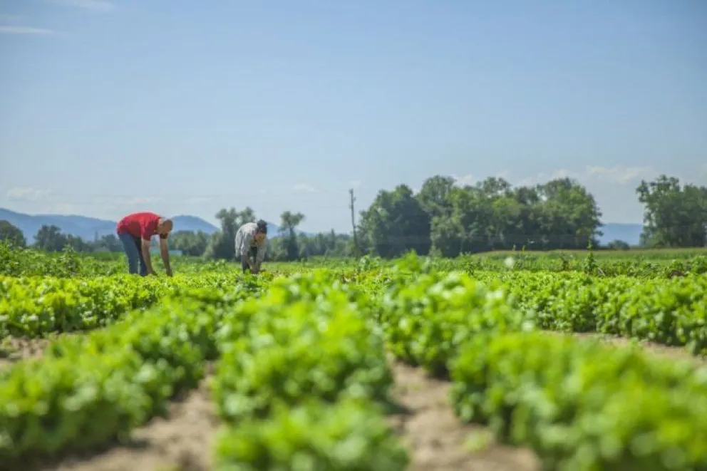 Preocupado por la inflación, el gobierno analiza crear una Empresa Nacional de Alimentos 