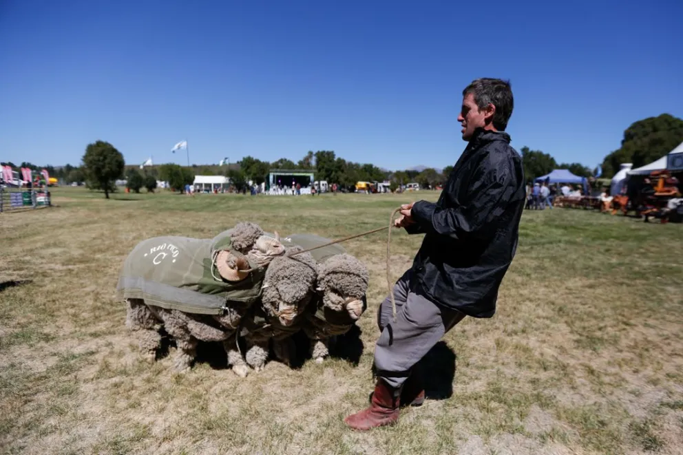 ¿Qué novedades habrá en la Exposición Rural Bariloche?