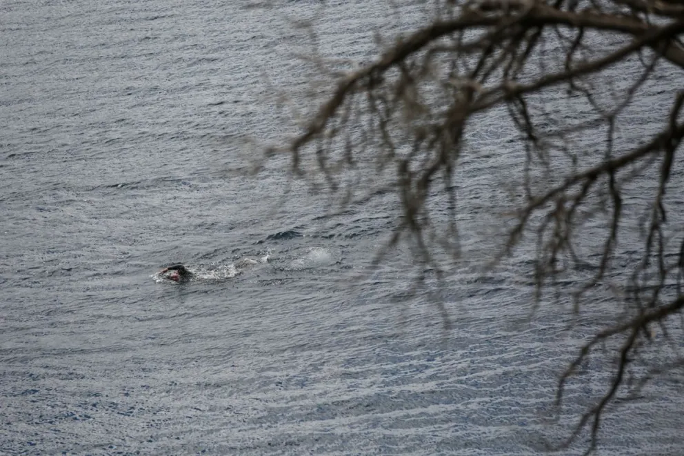 Llega desde España para un desafío de aguas abiertas en el Nahuel Huapi