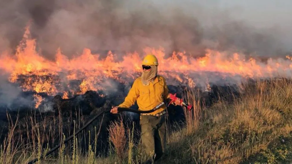 Incendios en Corrientes: Brasil envió dotaciones de bomberos para combatir el fuego