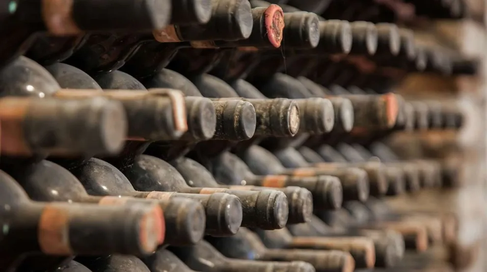 Bodegas Argentinas denuncian que empresas de Chile y EE.UU quieren apropiarse de la marca “Patagonia”