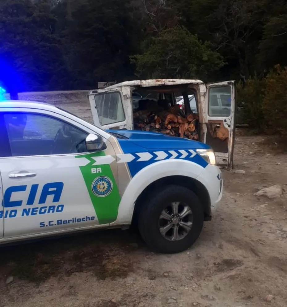 Taló cuatro metros cúbicos árboles nativos sin permiso: fue sorprendido por la Policía