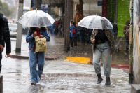 Alerta amarillo en Bariloche por fuertes vientos y lluvias  