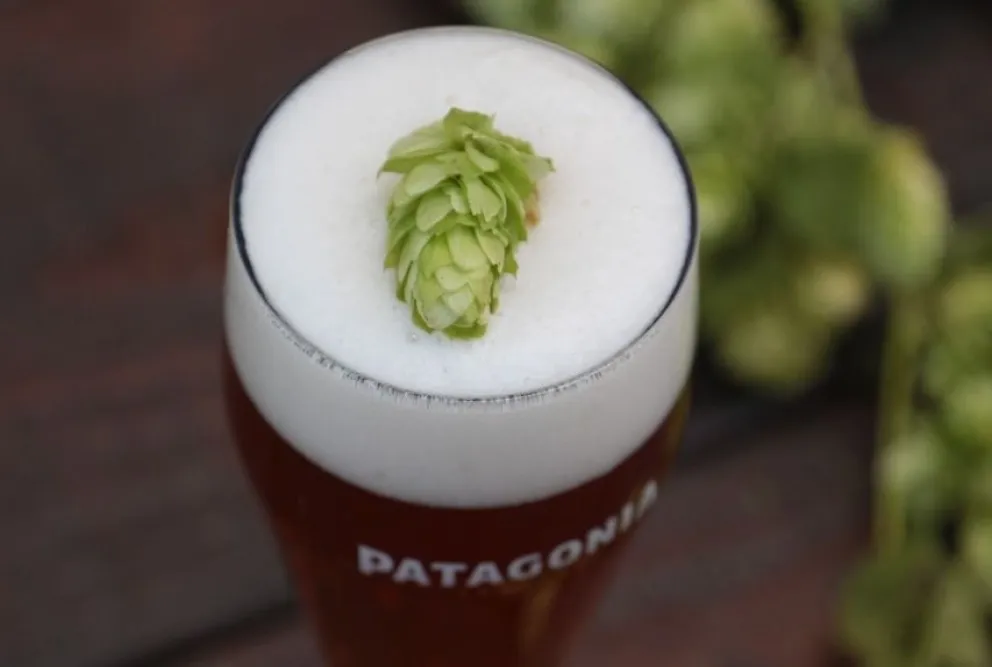 Cerveza Patagonia se suma al Festival de la Cerveza