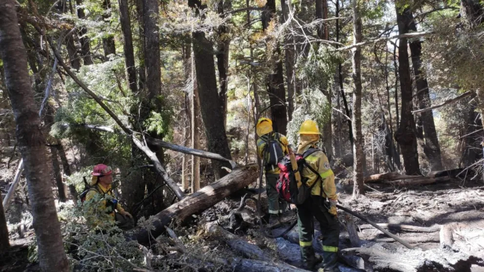 Logran circunscribir al incendio forestal en El Pedregoso – Las Pataguas