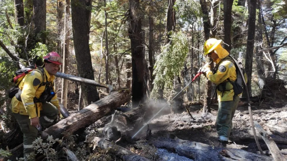 Brigadistas del SNMF piden que se reconozca su labor como de alto riesgo