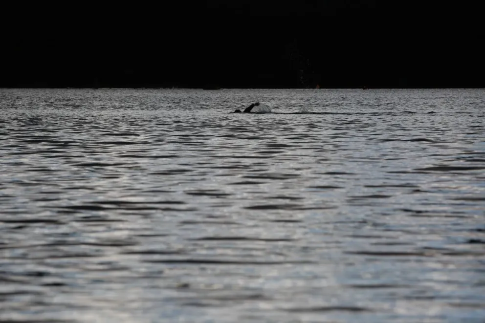 Rescataron a turista inglesa que intentó llegar a la isla Huemul para tomar sol