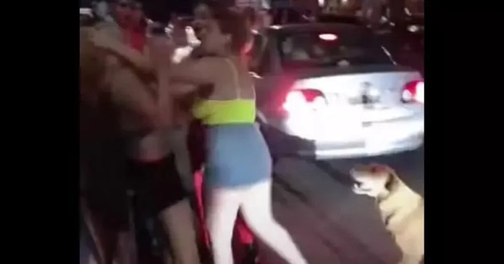 Video: tremenda pelea entre mujeres afuera de un boliche de Viedma