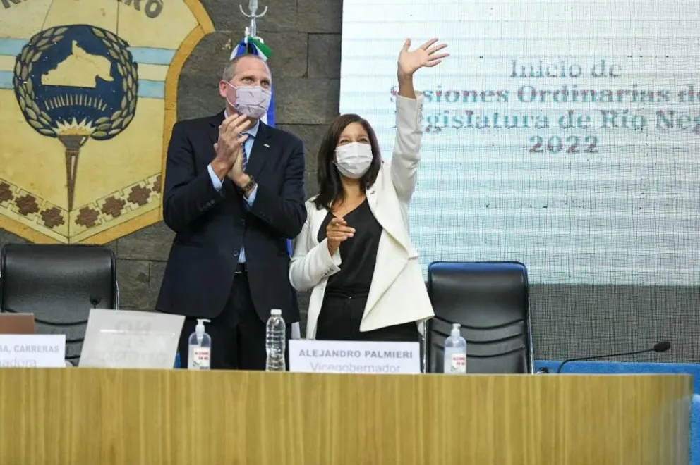 ¿Cómo cayó el anuncio de la gobernadora en el organismo de representación política mapuche?