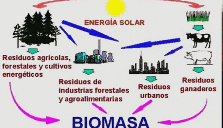 Biomasa Generación De Energía Limpia Diario El Cordillerano