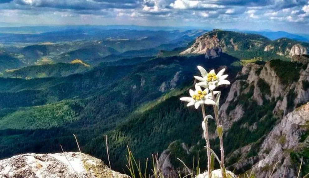 Especialista brinda una charla sobre ecosistemas de alta montaña