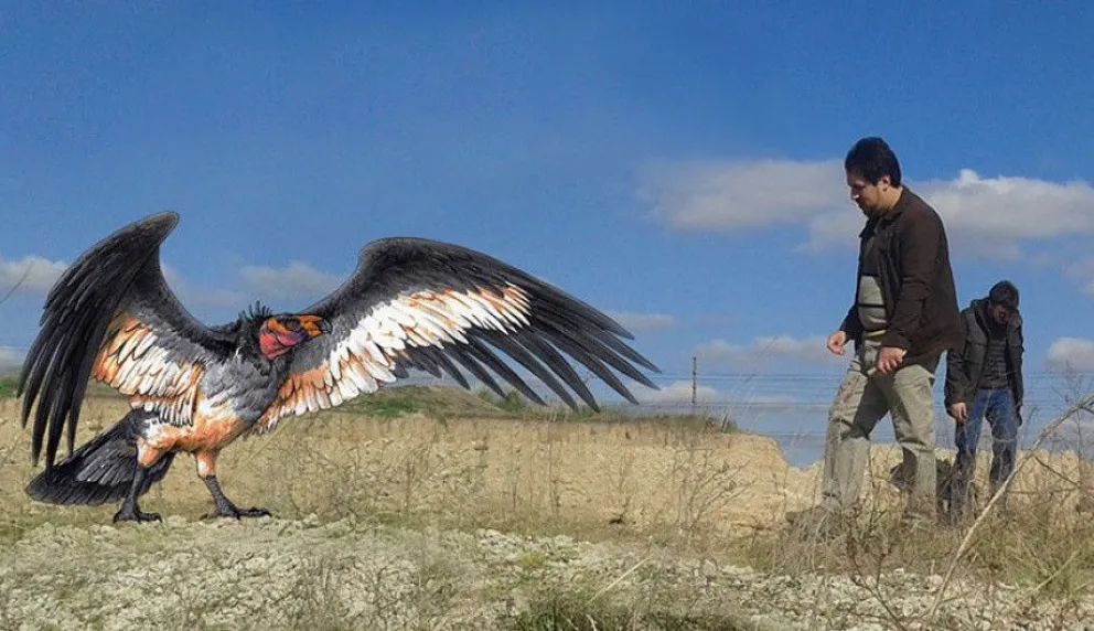Descubren nueva especie de cóndor de 30 mil años de antigüedad en Buenos Aires