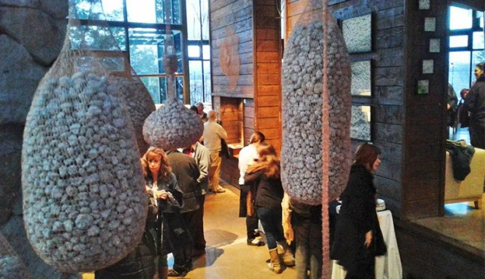 Artistas que se dejan permear por indicios y fenómenos