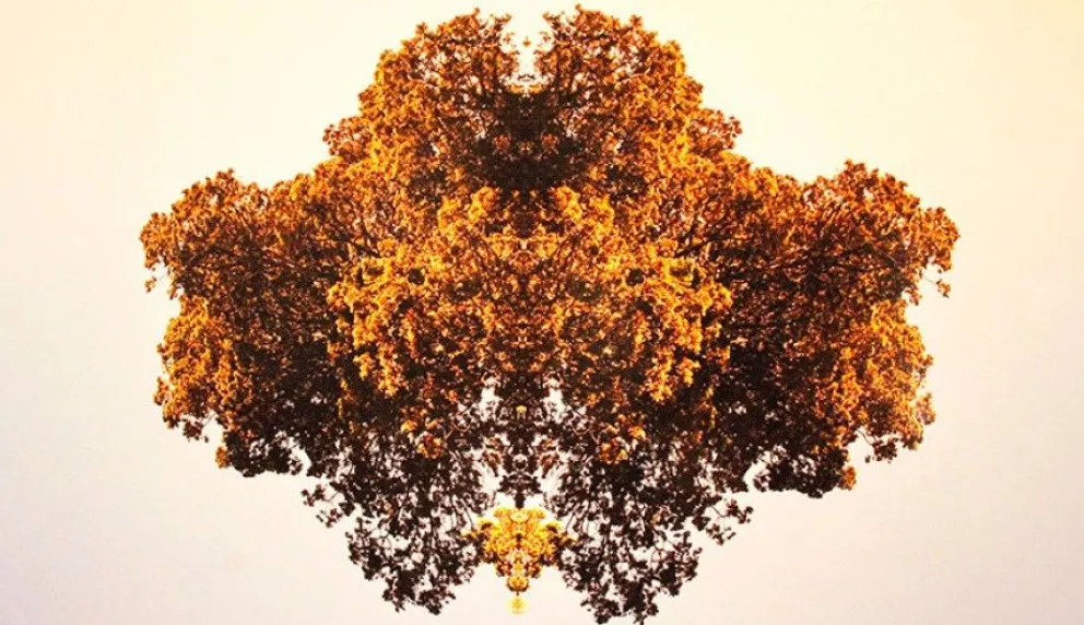 Hernán Pirato Mazza habla bien de sus “Vecinos”