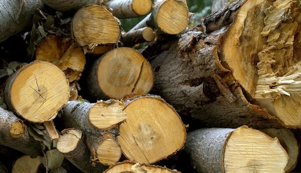 Plantean que se debe “reciclar” la madera para ahorrarse el Plan Calor