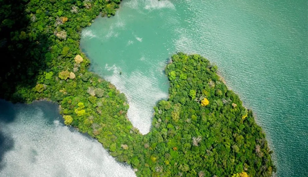 Revelan que Norteamérica y Sudamérica se unieron hace 2,8 millones de años