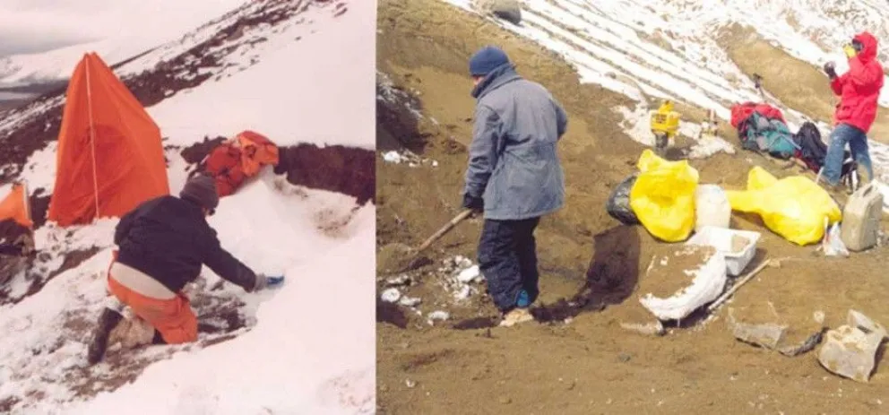 Hallan una nueva especie de plesiosaurio en la Antártida