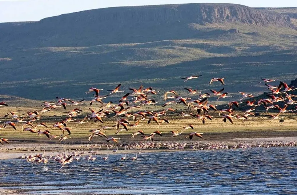 Meseta Patagónica, lugar mítico, agreste y sorprendente