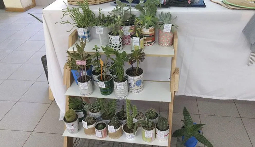 Primera muestra de Ecosol en el Centro Administrativo Provincial