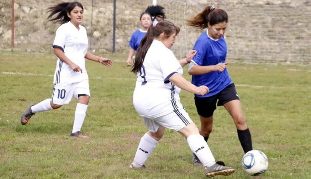 Veintidós equipos arrancan en primera