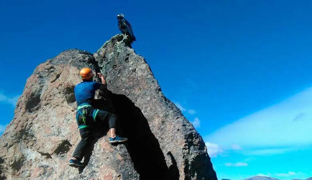 Pareja de Cóndores “visitó” a escaladores