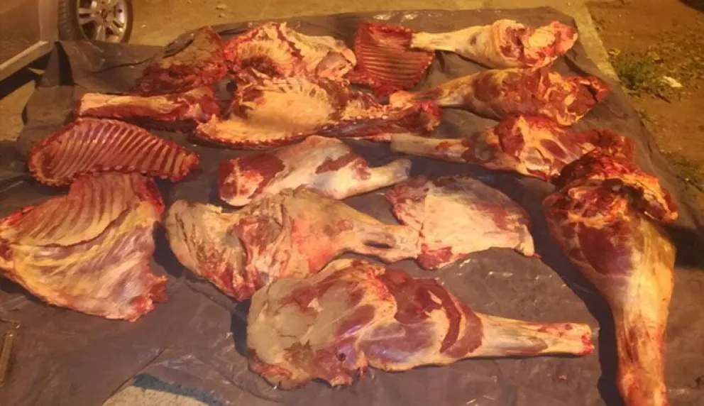 Secuestraron más de 300 kilos de carne