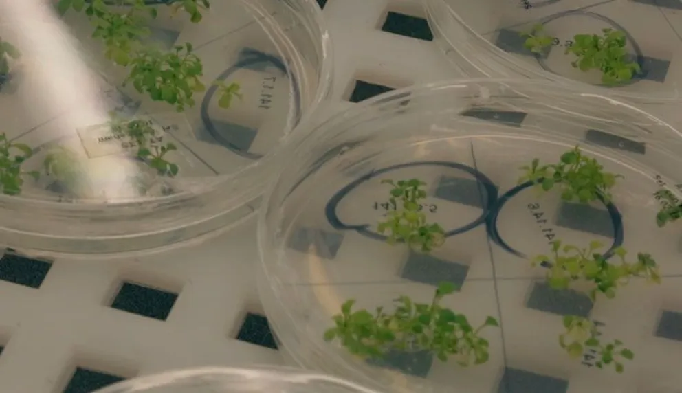 Tecnología contra la sequía trasciende fronteras