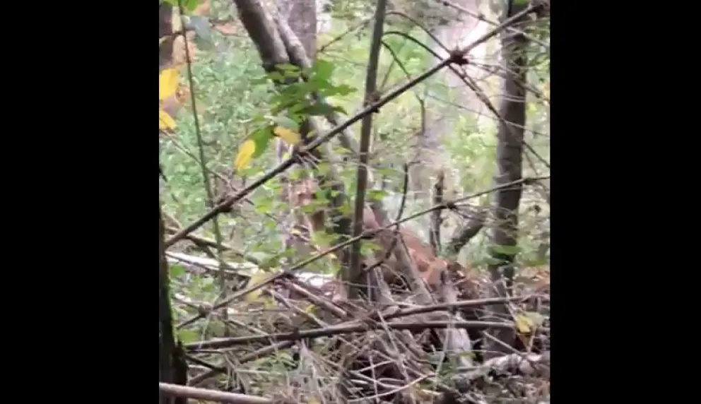 Habilitaron el Parque Municipal Llao Llao pero hoy está cerrado por fuertes vientos