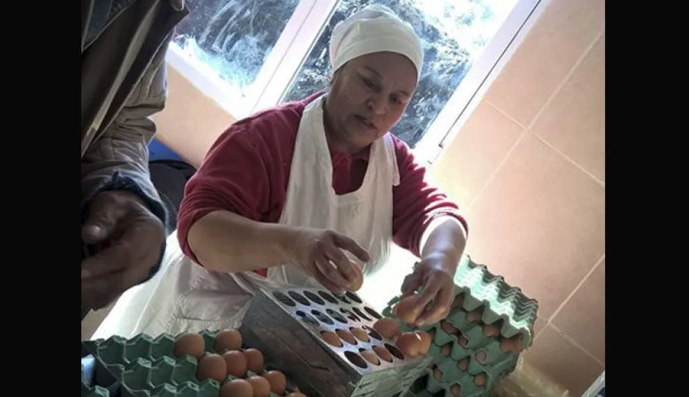Emprendimiento que acorta distancias entre productores rurales y clientes