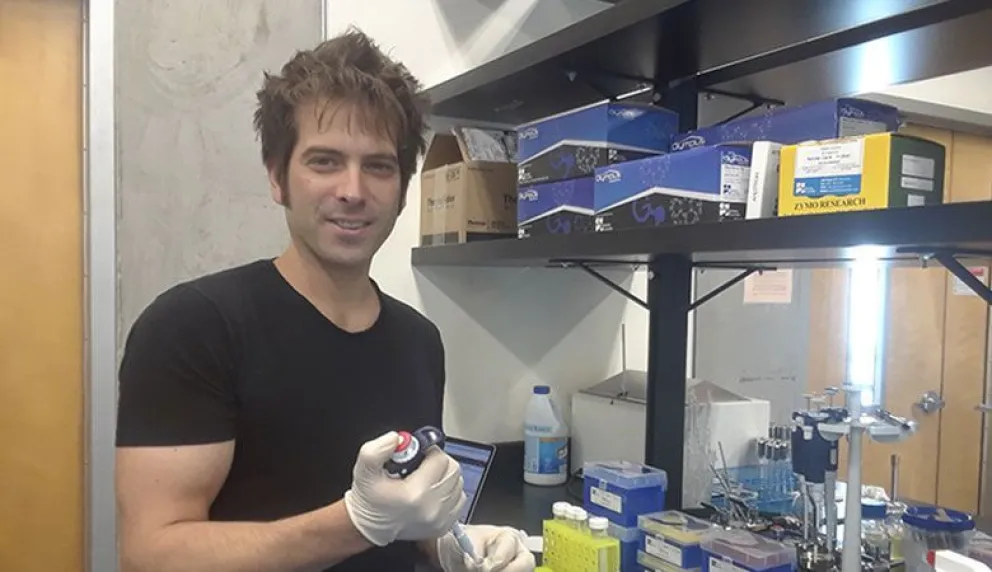 Demuestran el impacto de la dieta en el desarrollo del cerebro