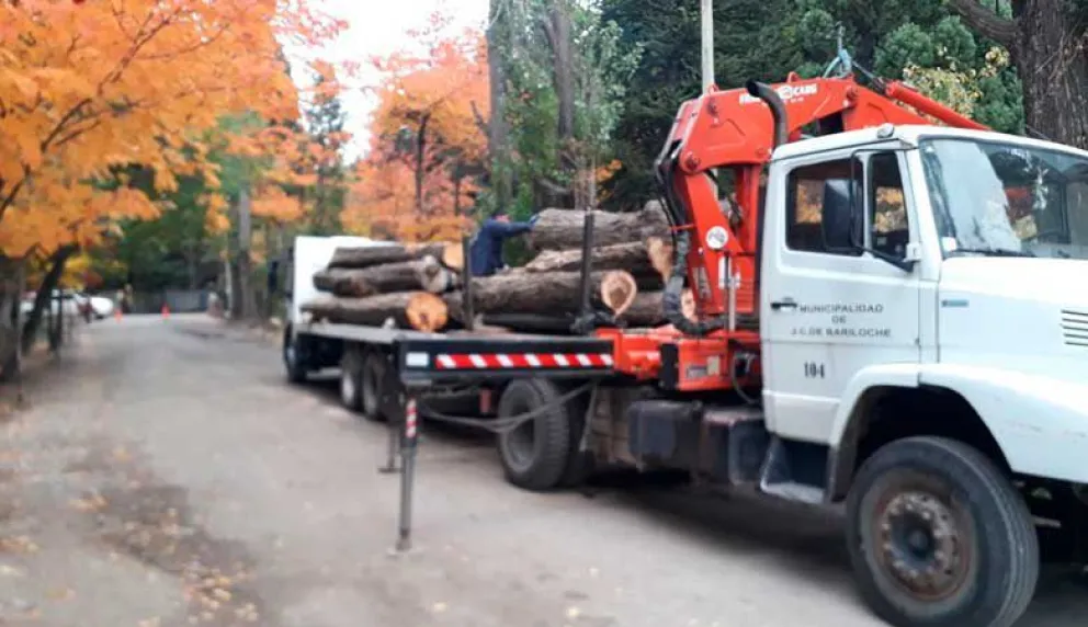 Trabajos de Parques y Jardines en Colonia Suiza y en el este de la ciudad