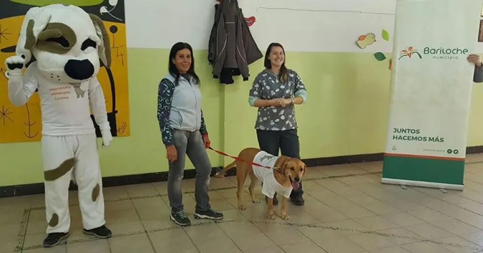 Comenzó la Semana del Bienestar Animal y Tenencia Responsable