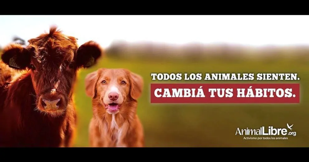 El Día del Animal se celebra con diversas actividades en el centro de la ciudad