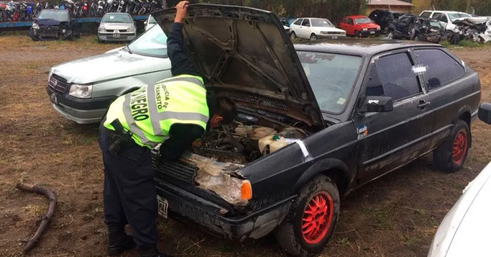 Secuestran auto con tarjeta verde apócrifa y chasis adulterado
