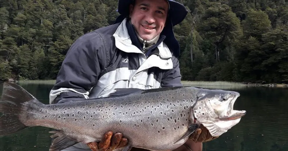 Impresionante trucha de 80 centímetros sacada del Nahuel Huapi
