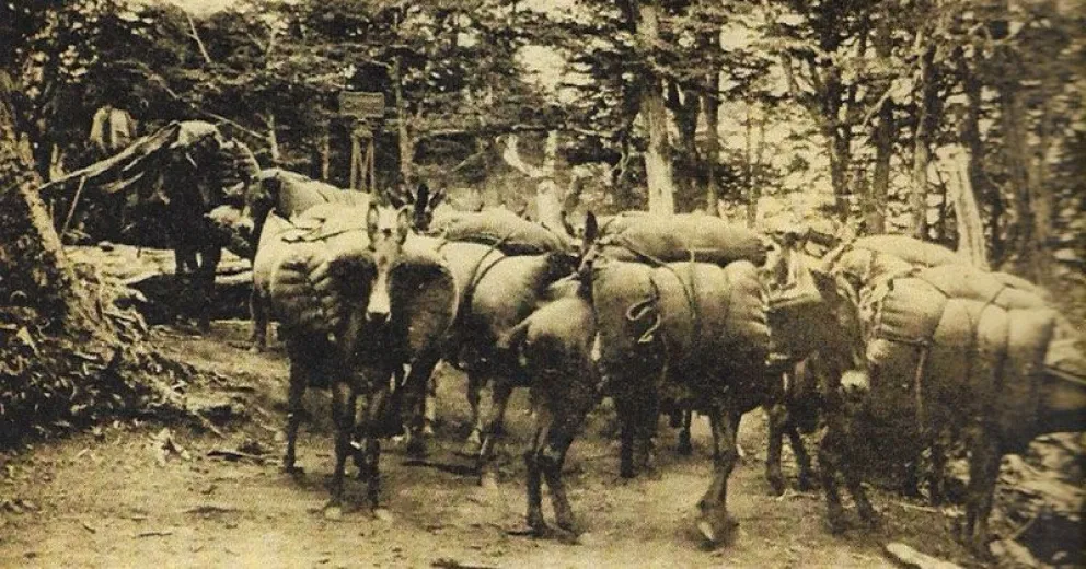 Hubo vida antes de 1902