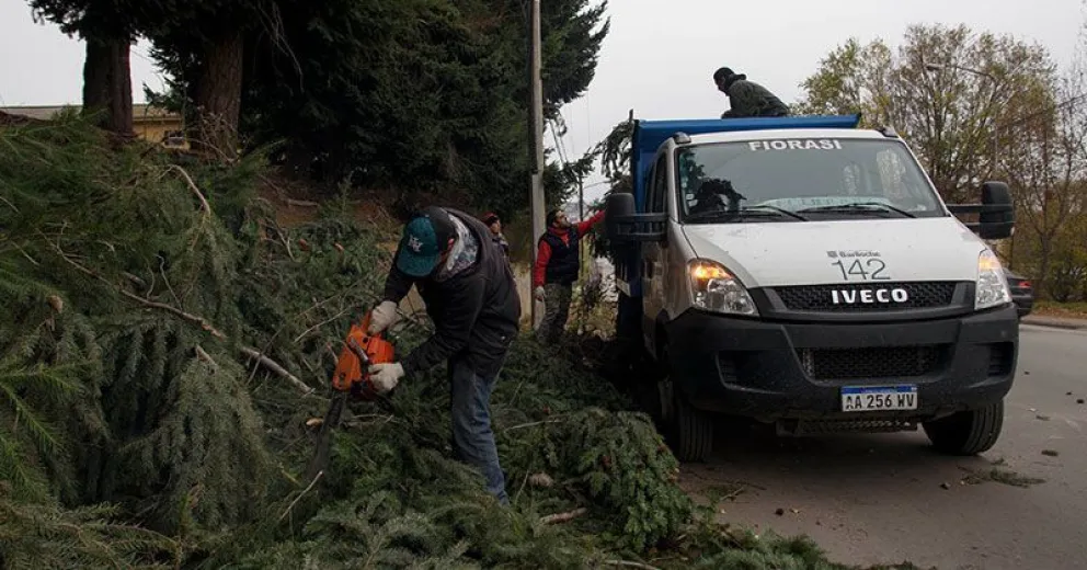 Cuadrillas municipales participaron de un operativo de apeo en Beschtedt