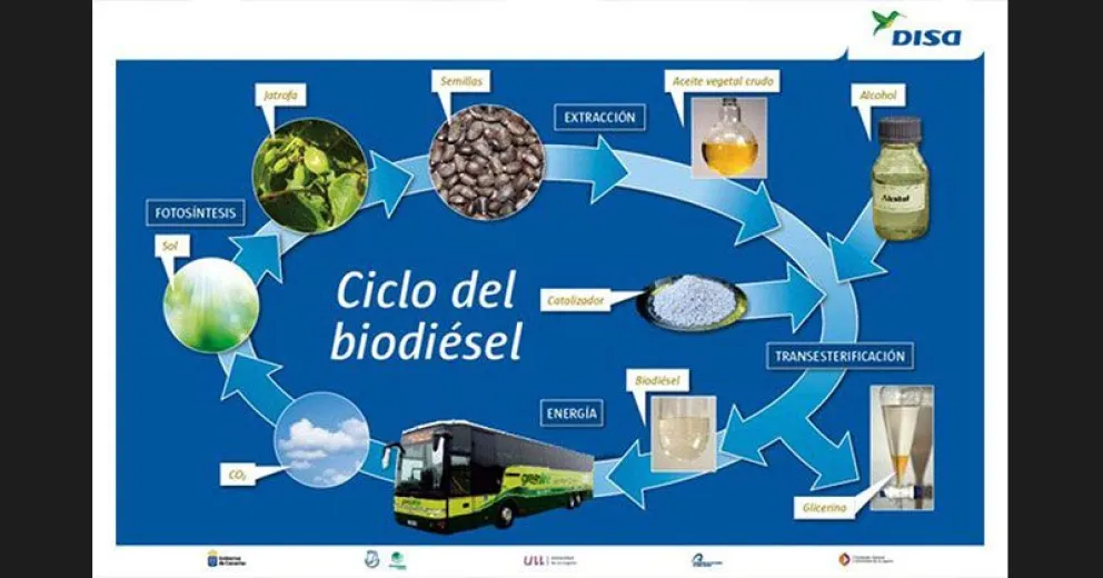 Intentan impulsar el regreso del biodiesel