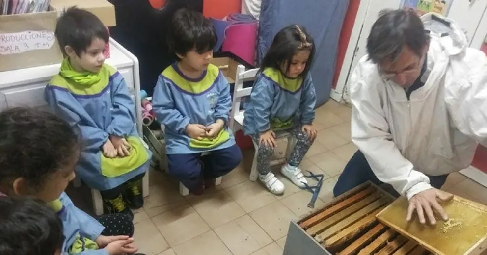 Encontró en la apicultura su pasión:  “de las abejas me impresionó el orden y su manera de trabajar”