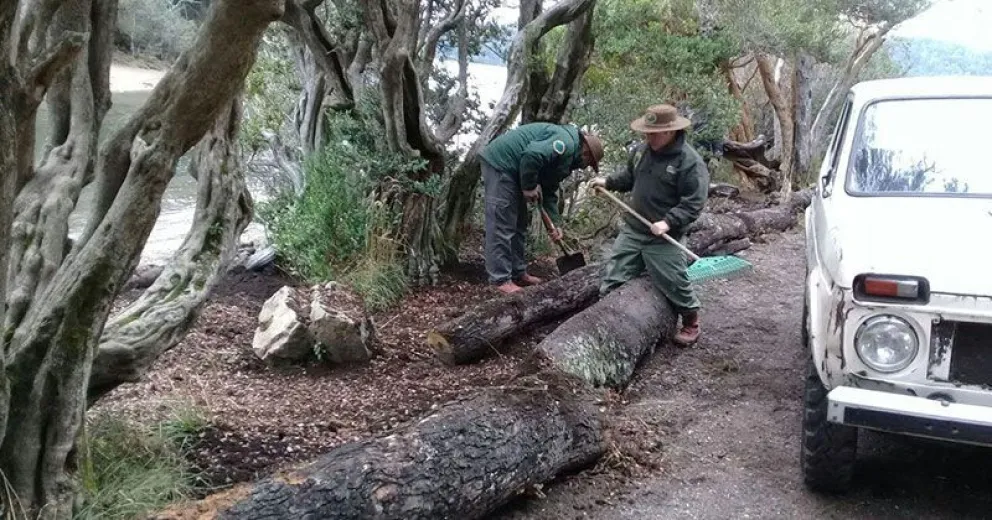 Profundizan trabajos de conservación del huillín