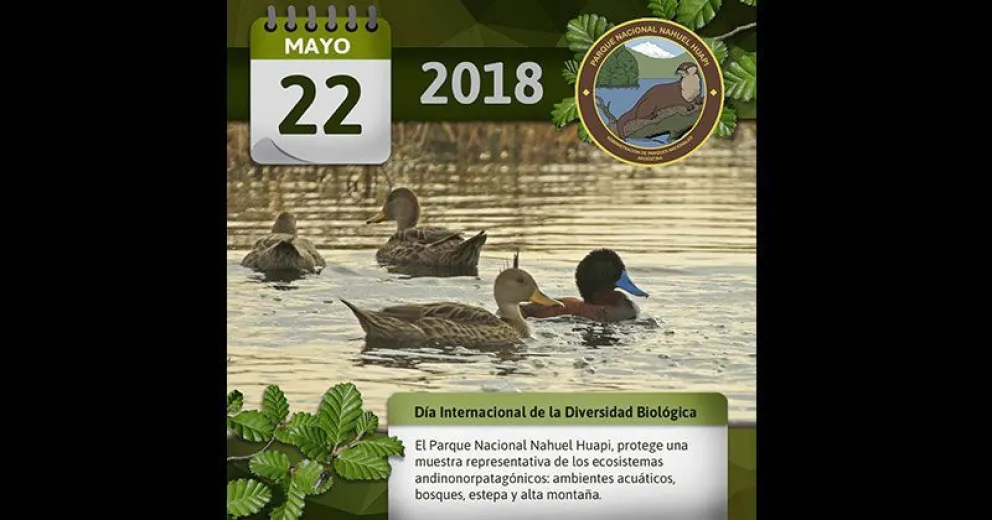 Día Internacional de la Diversidad Biológica